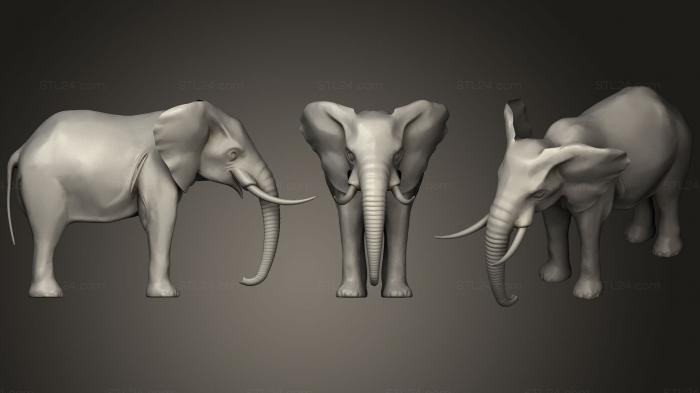 Статуэтки животных (Слон 01, STKJ_0935) 3D модель для ЧПУ станка